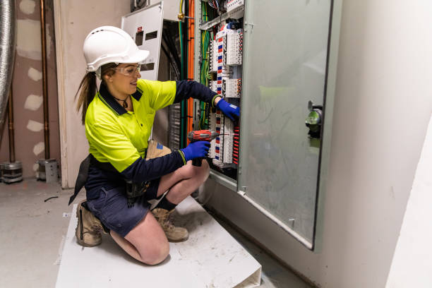 Best Electric Panel Repair  in Fern Acres, HI