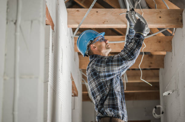 Best Local Electrician Companies  in Fern Acres, HI
